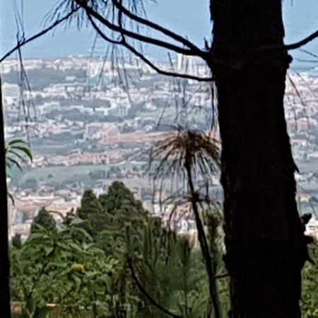 לה אורוטבה Finca La Casita מראה חיצוני תמונה