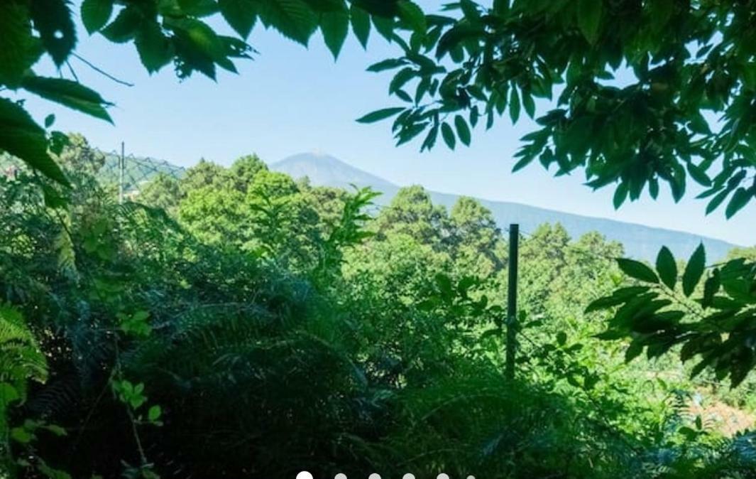 לה אורוטבה Finca La Casita מראה חיצוני תמונה